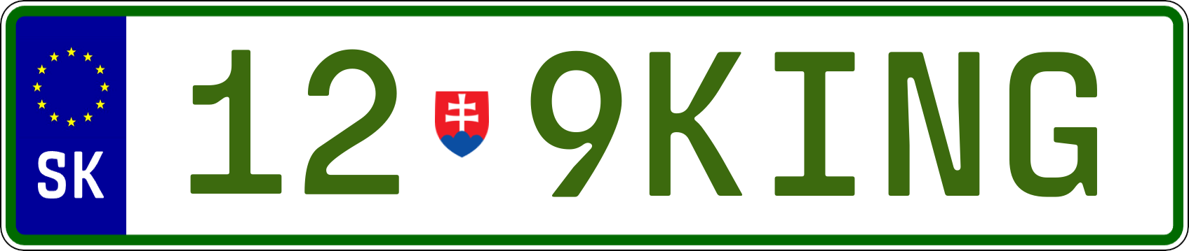 Typ IV - Elektro 1R