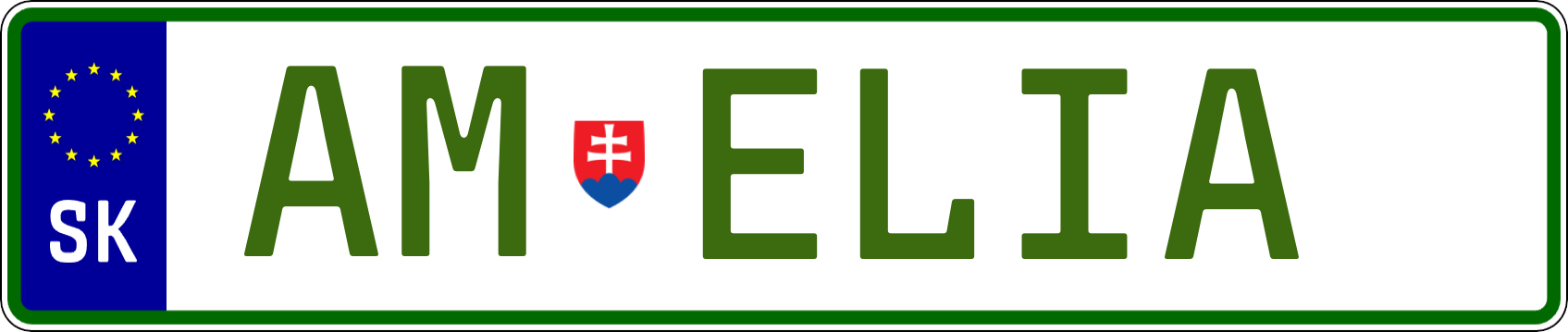 Typ IV - Elektro 1R