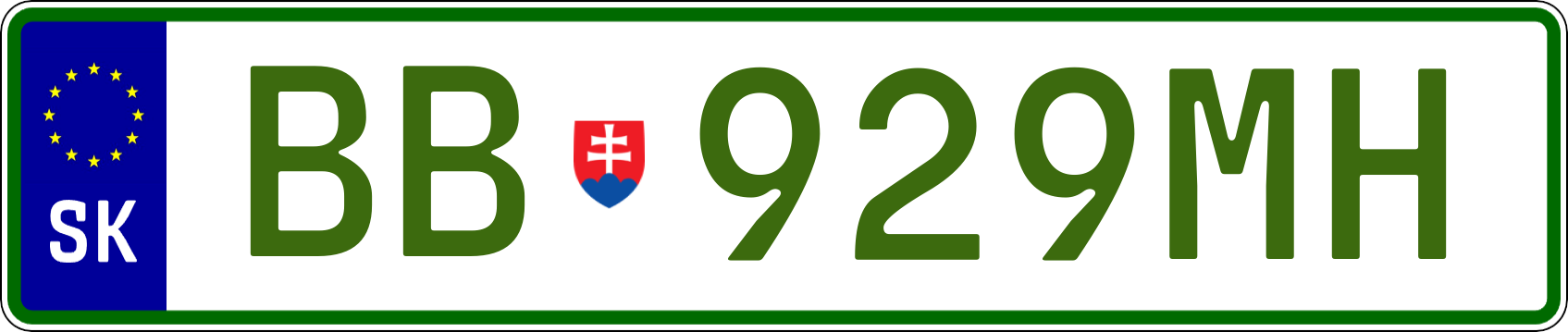 Typ IV - Elektro 1R