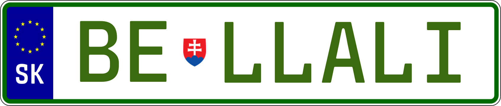 Typ IV - Elektro 1R