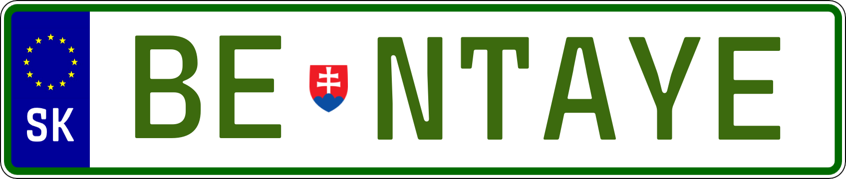 Typ IV - Elektro 1R