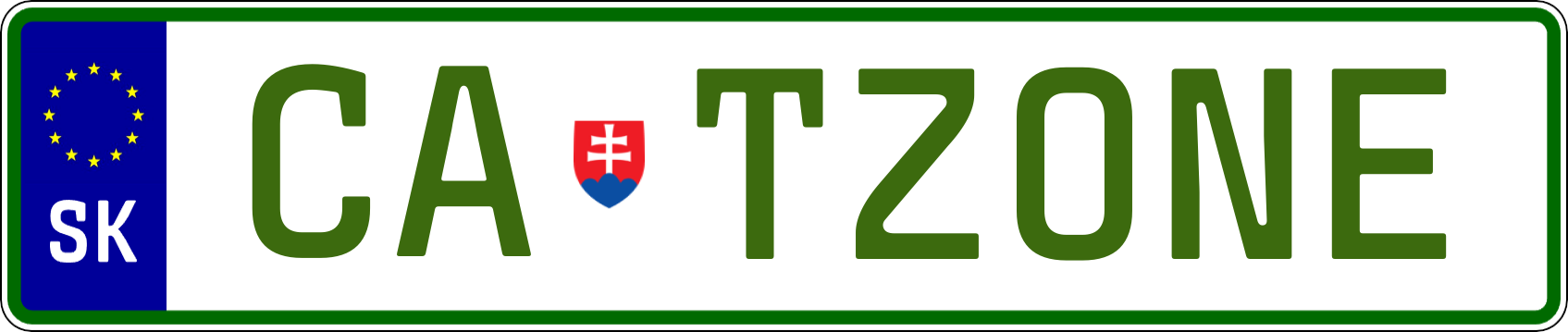 Typ IV - Elektro 1R