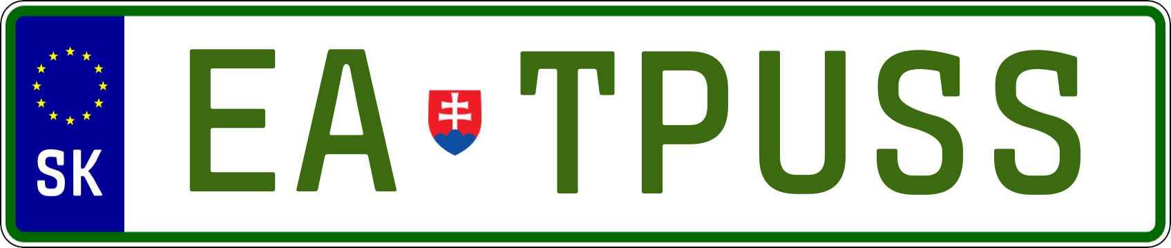 Typ IV - Elektro 1R
