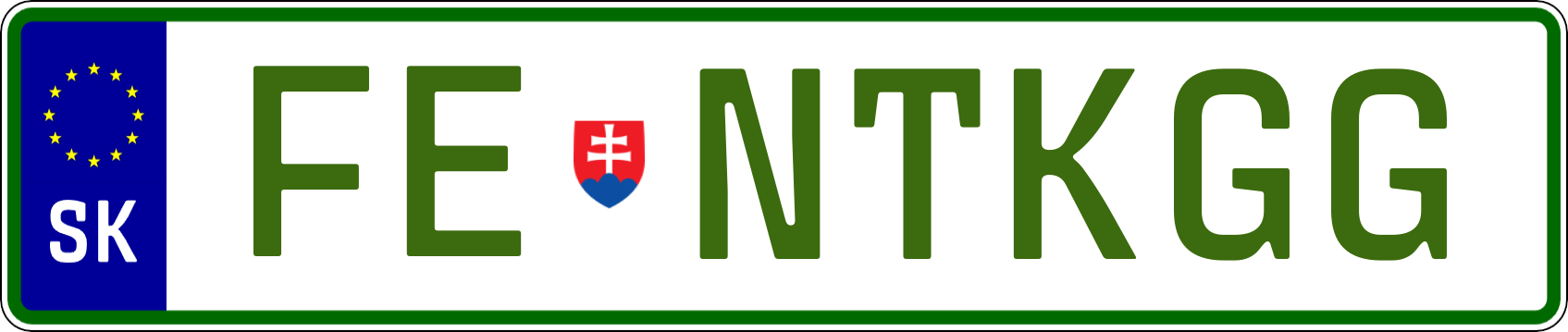Typ IV - Elektro 1R