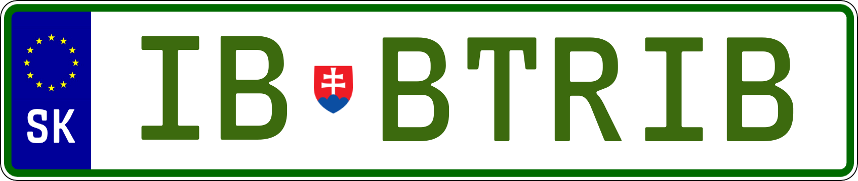 Typ IV - Elektro 1R