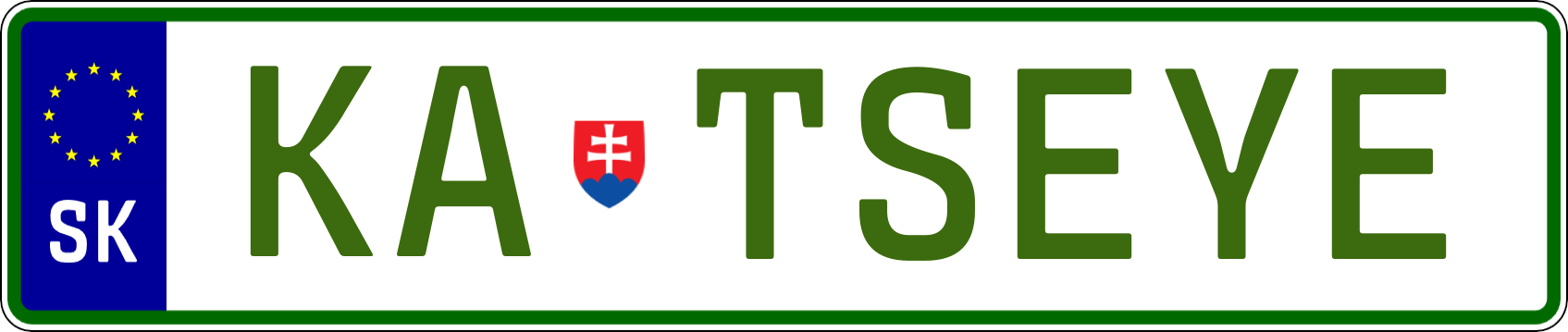 Typ IV - Elektro 1R