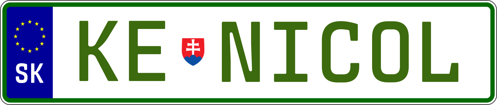 Typ IV - Elektro 1R