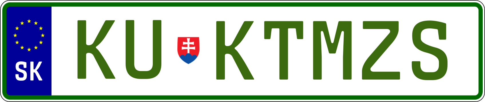 Typ IV - Elektro 1R