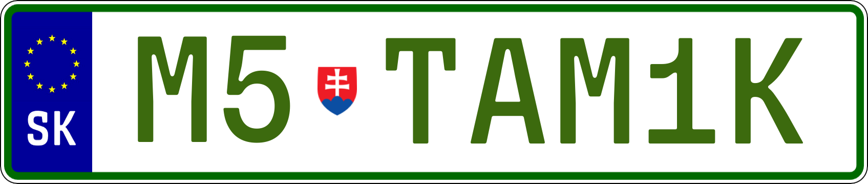 Typ IV - Elektro 1R
