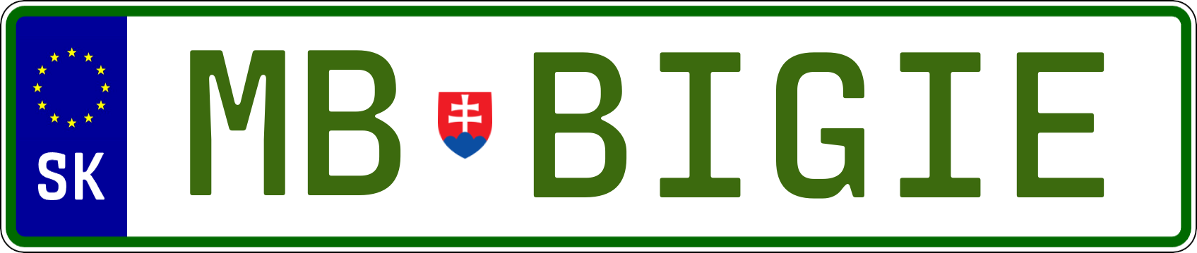 Typ IV - Elektro 1R
