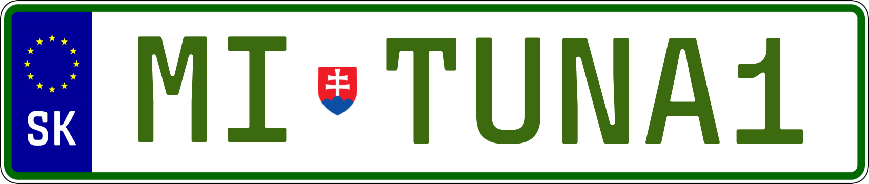 Typ IV - Elektro 1R