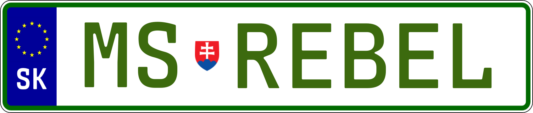 Typ IV - Elektro 1R