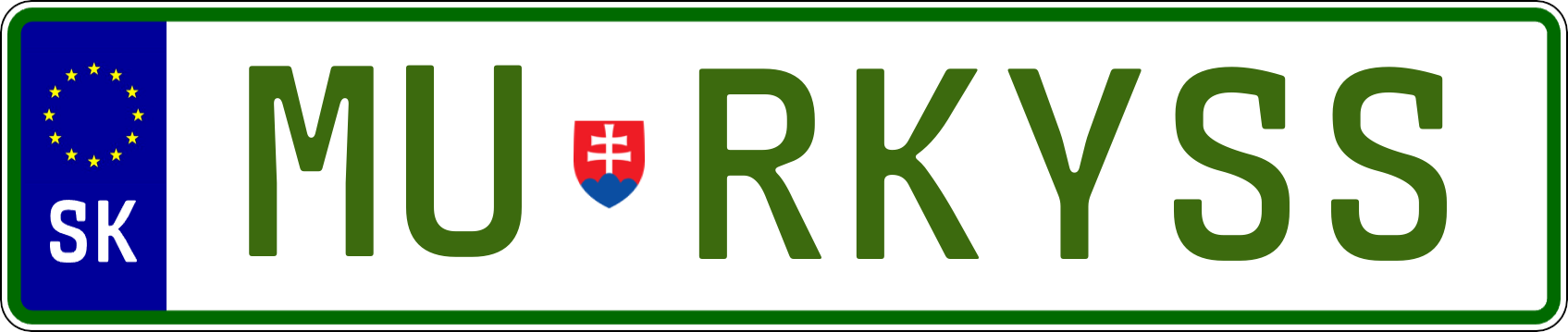 Typ IV - Elektro 1R