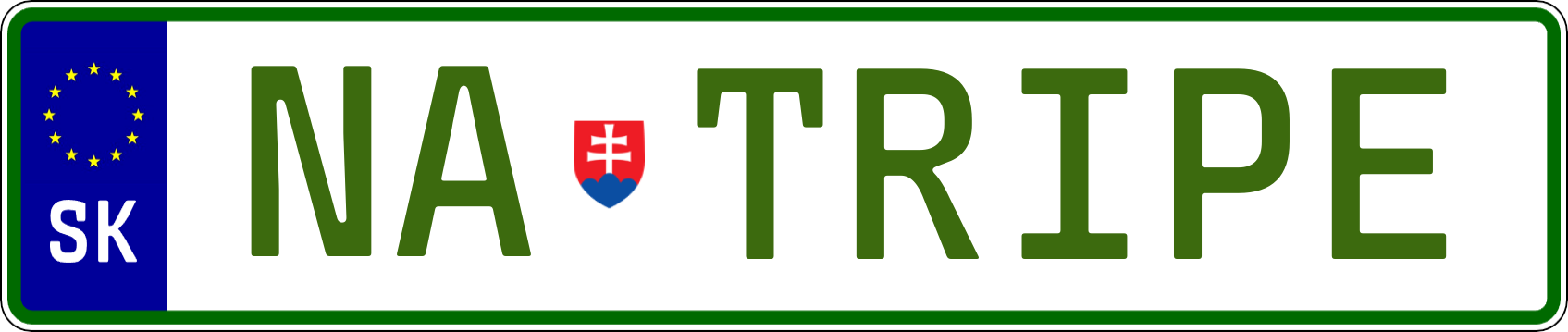 Typ IV - Elektro 1R