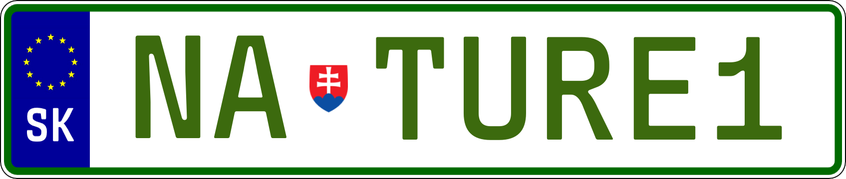 Typ IV - Elektro 1R