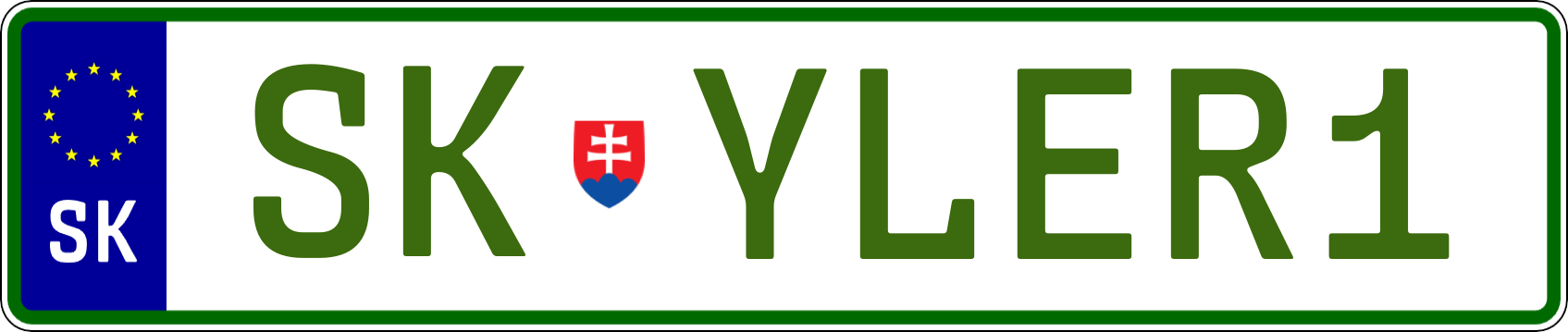 Typ IV - Elektro 1R