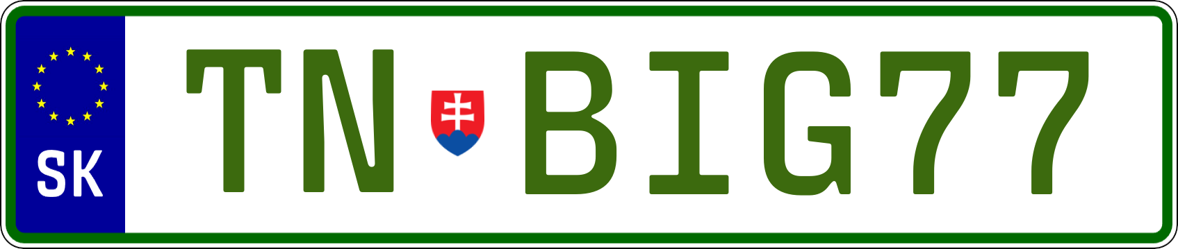 Typ IV - Elektro 1R