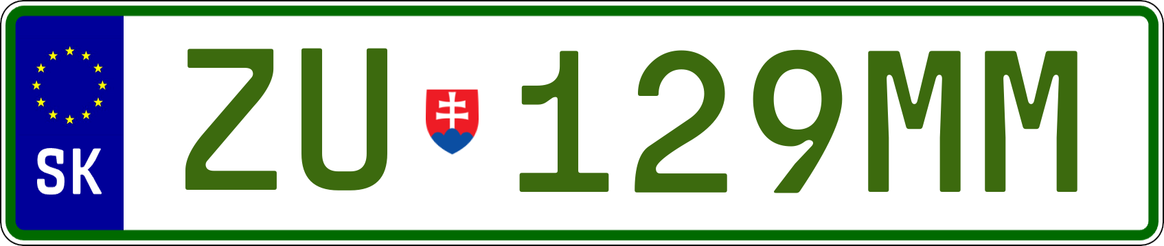 Typ IV - Elektro 1R