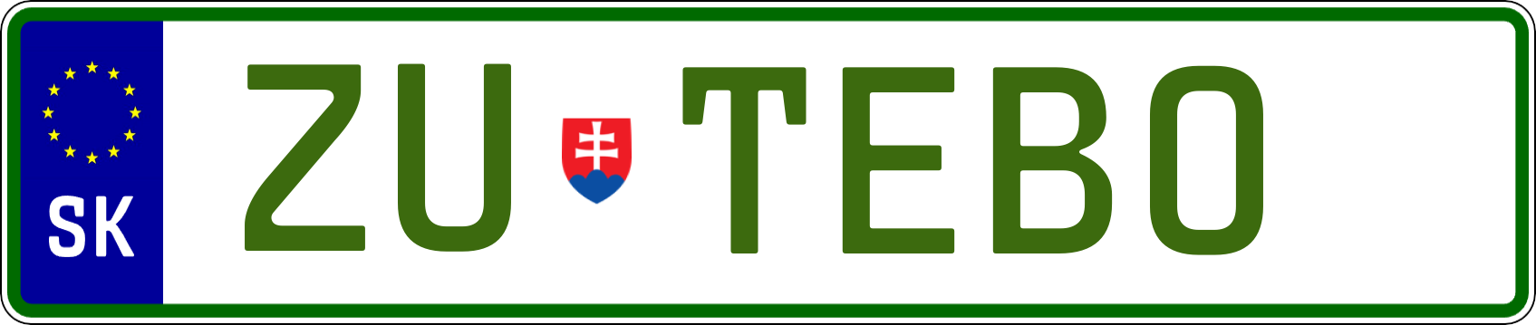 Typ IV - Elektro 1R